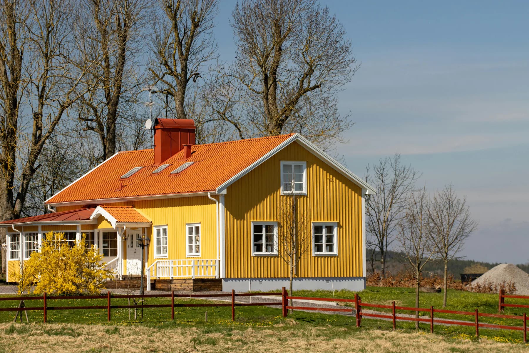 Gul enebolig i et åpent høstlandskap